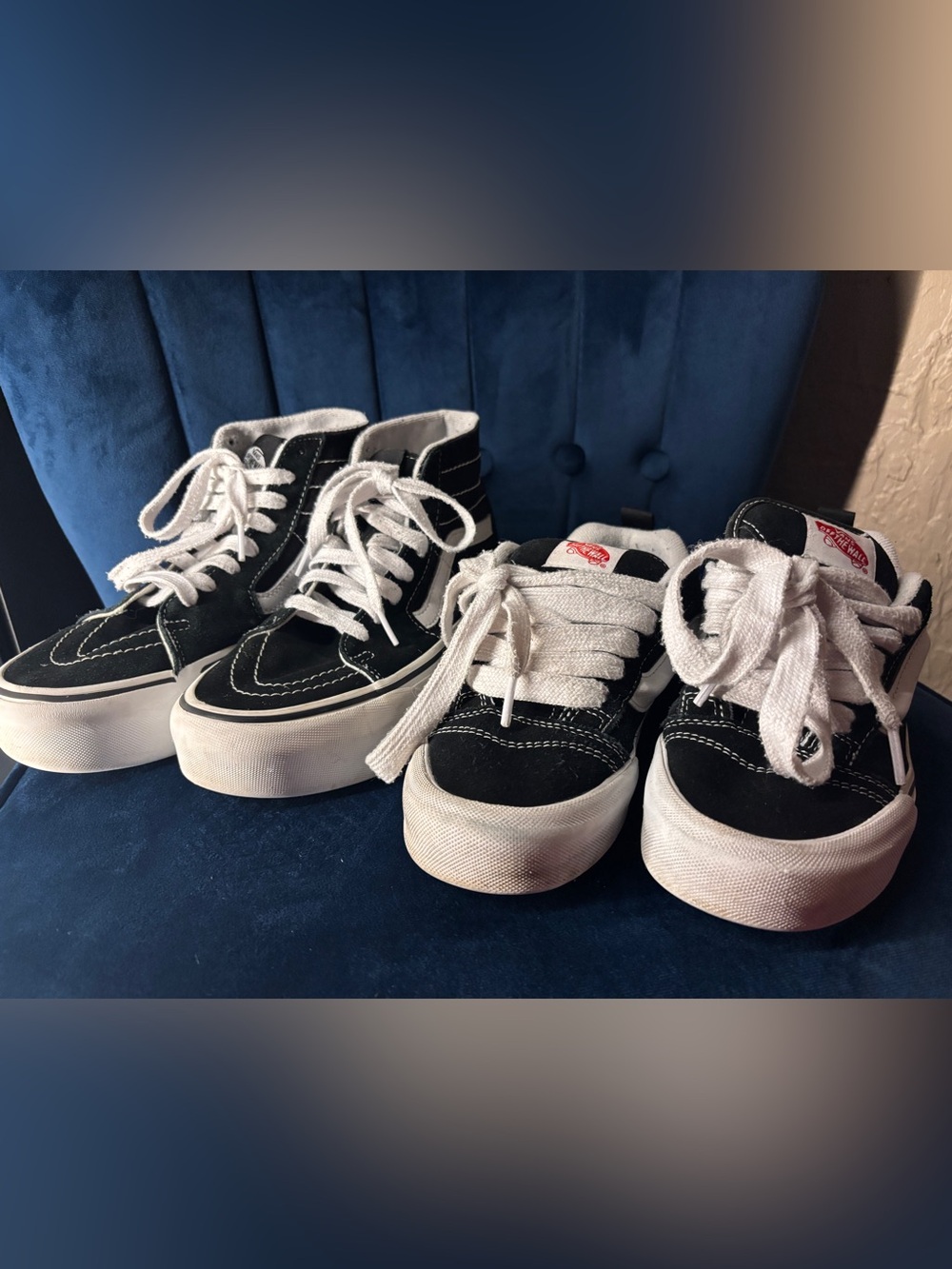 Vans Black and White High-Top & Low-Top Skate Sneakers